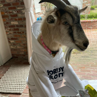 Henry The Goat